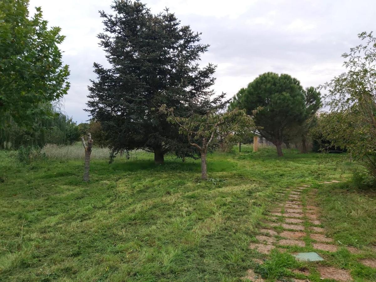 Casa Chalet En El Campo Barbadillo ภายนอก รูปภาพ