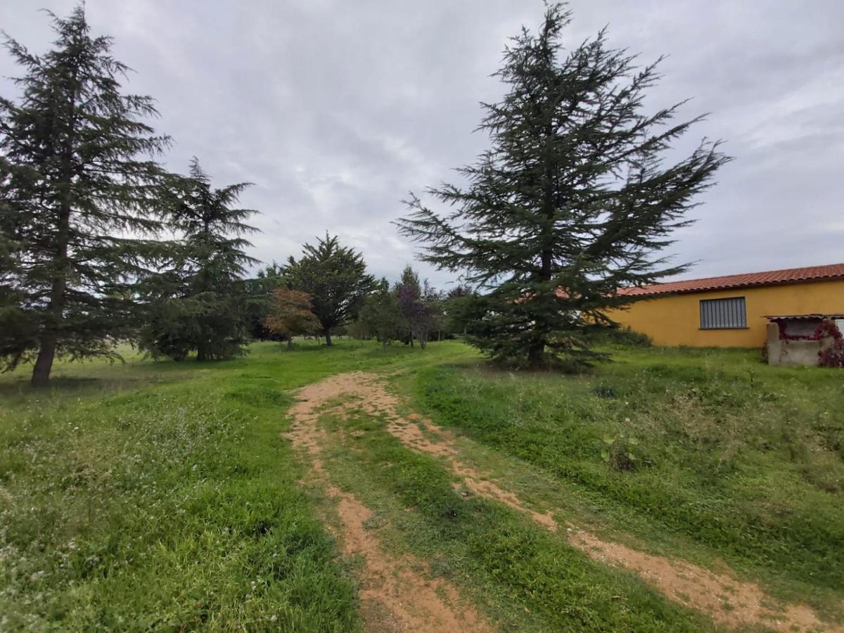 Casa Chalet En El Campo Barbadillo ภายนอก รูปภาพ