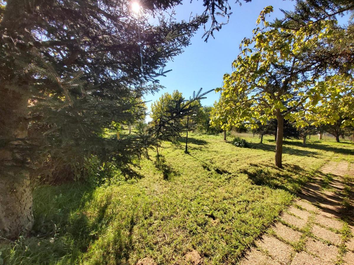Casa Chalet En El Campo Barbadillo ภายนอก รูปภาพ