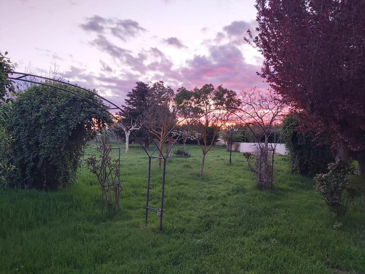Casa Chalet En El Campo Barbadillo ภายนอก รูปภาพ